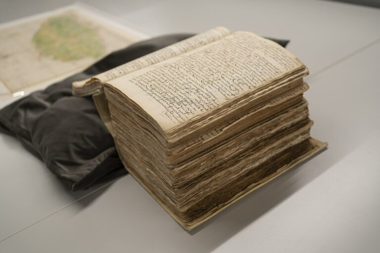 Read more about the article Symposium: Colonial Archives and Meaningful Digital Infrastructure